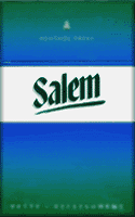 Salem Original Menthol Cigarettes pack